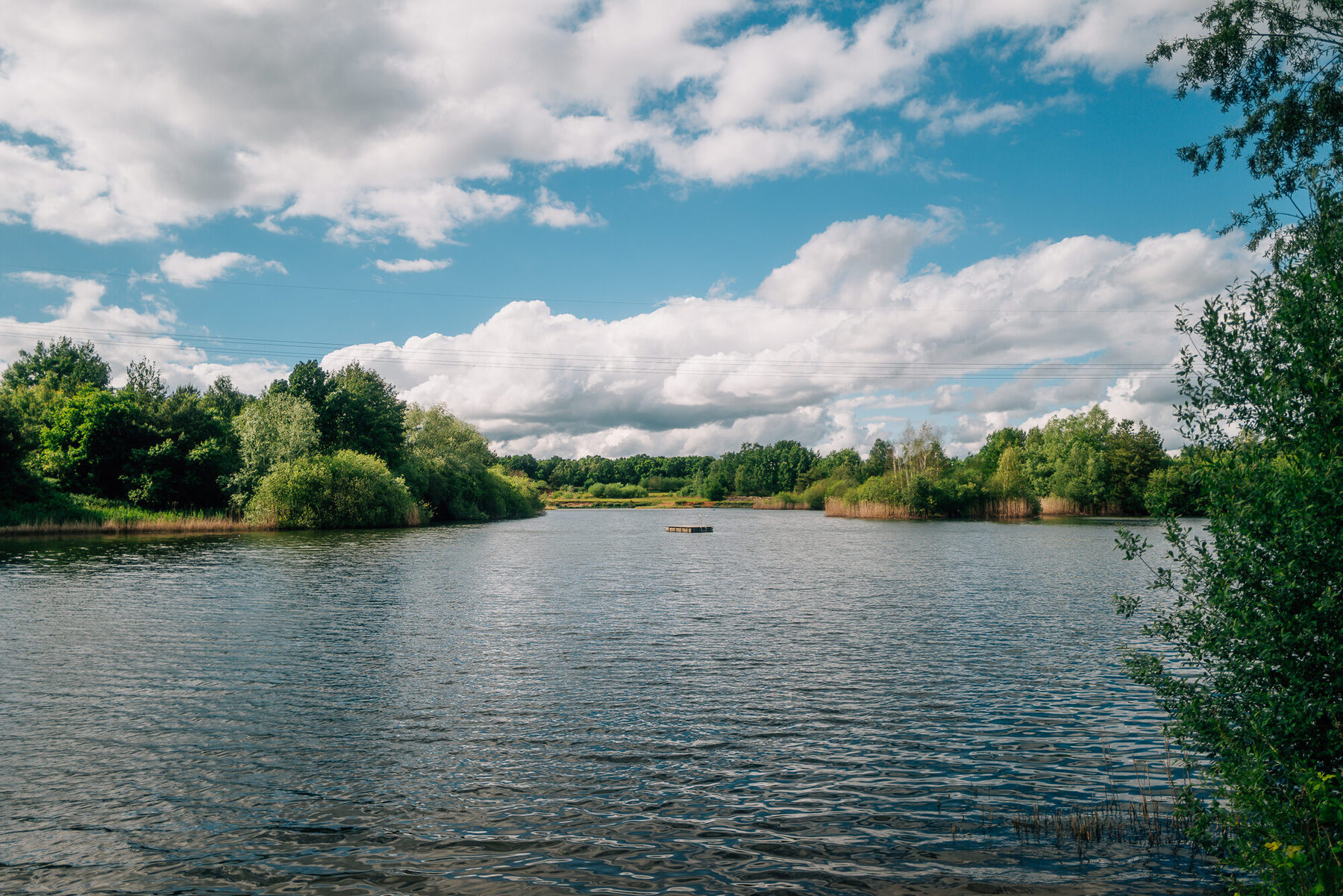 Spiegelung der Bäume im Wasser des Baggersees