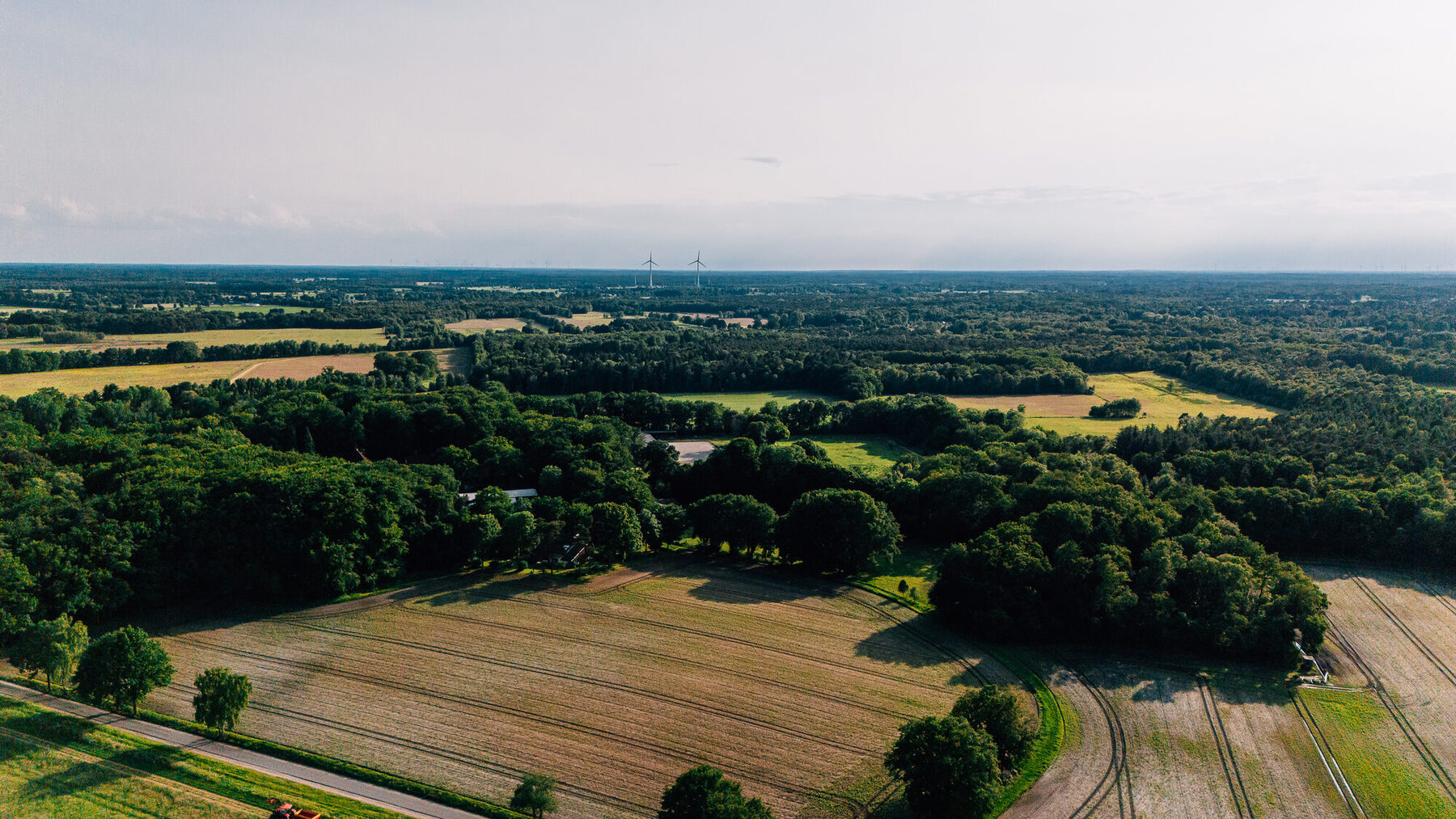 Ansteigender Waldweg am Bosteler Berg