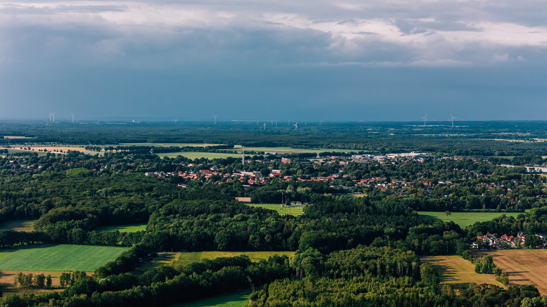 Wurzeln und Pfad am Bosteler Berg