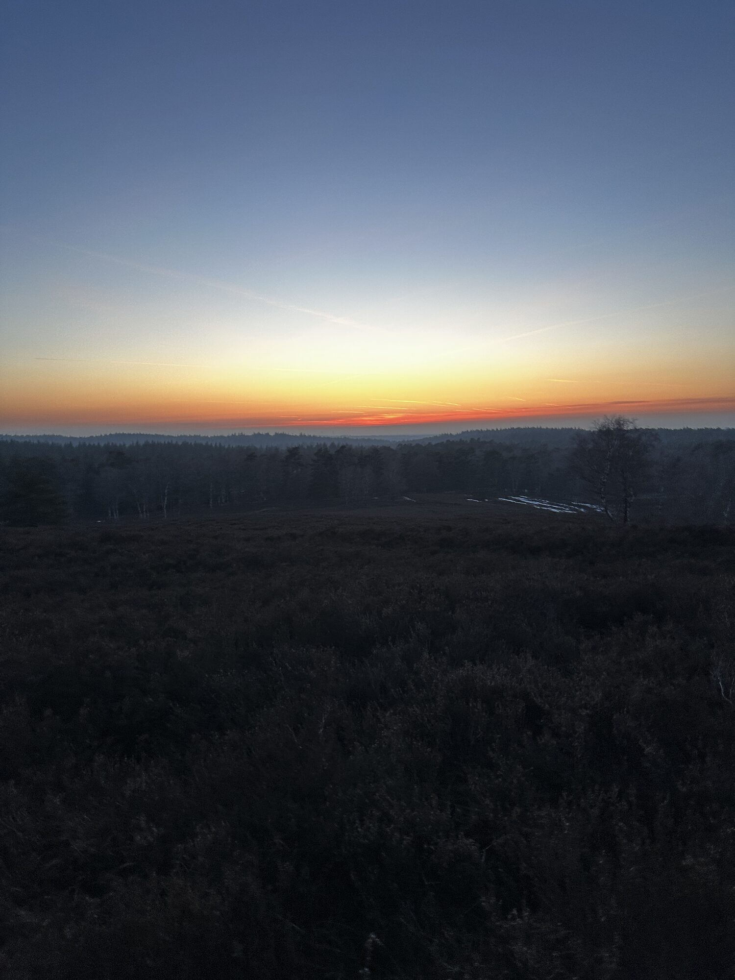 Sandiger Weg auf den Brunsberg