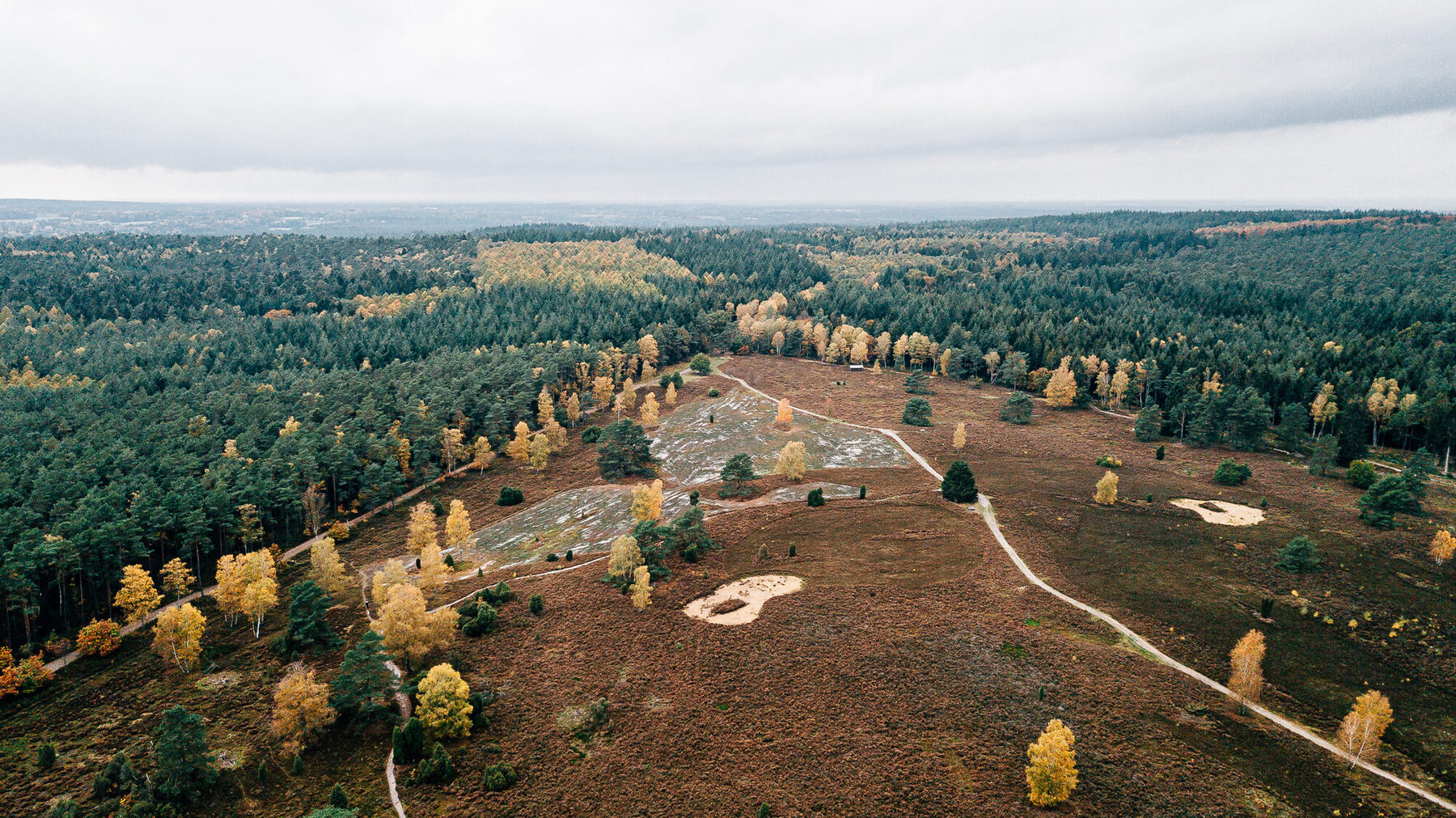 Das Büsenbachtal in der Nordheide bei Handeloh
