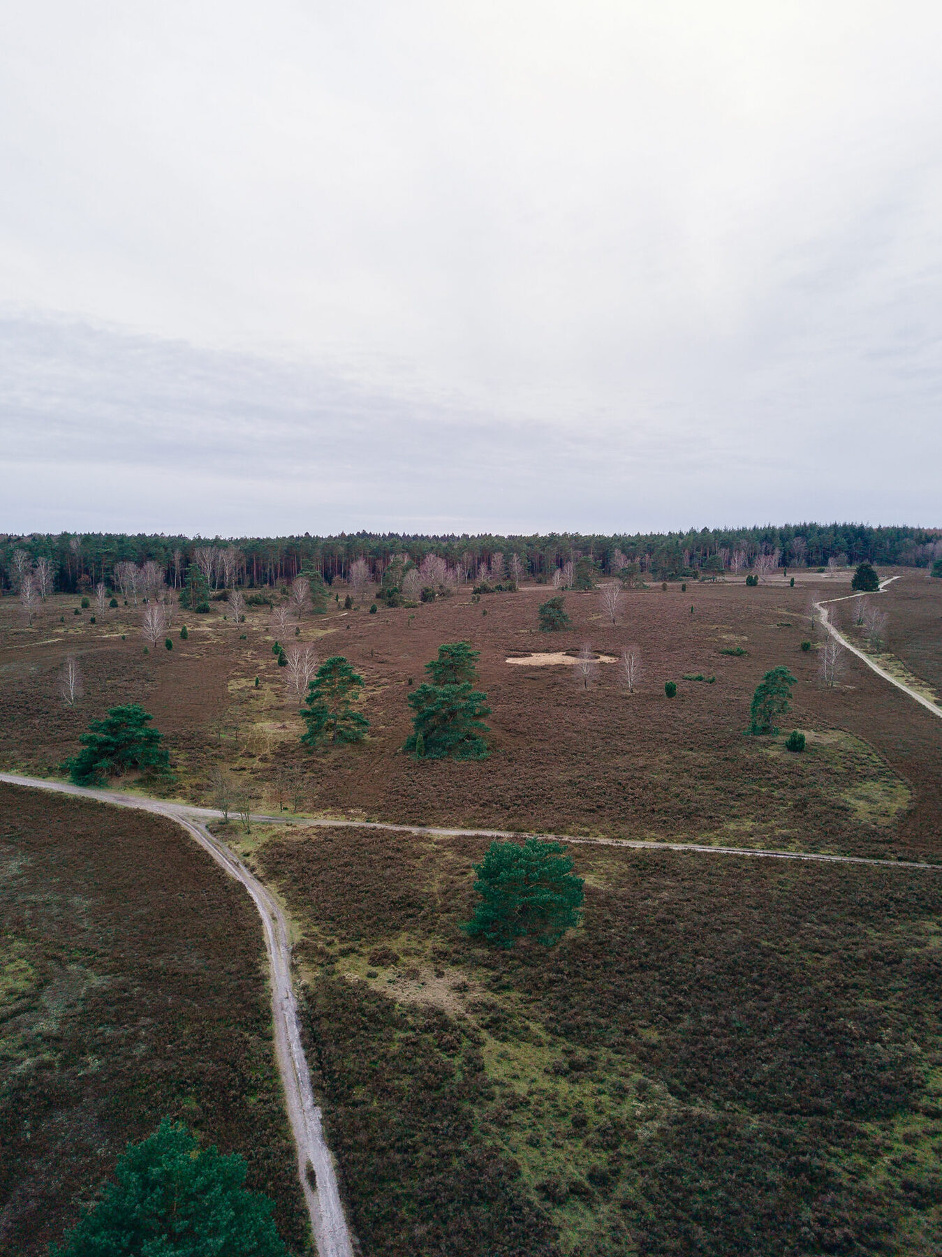 Wege und Heide im Büsenbachtal