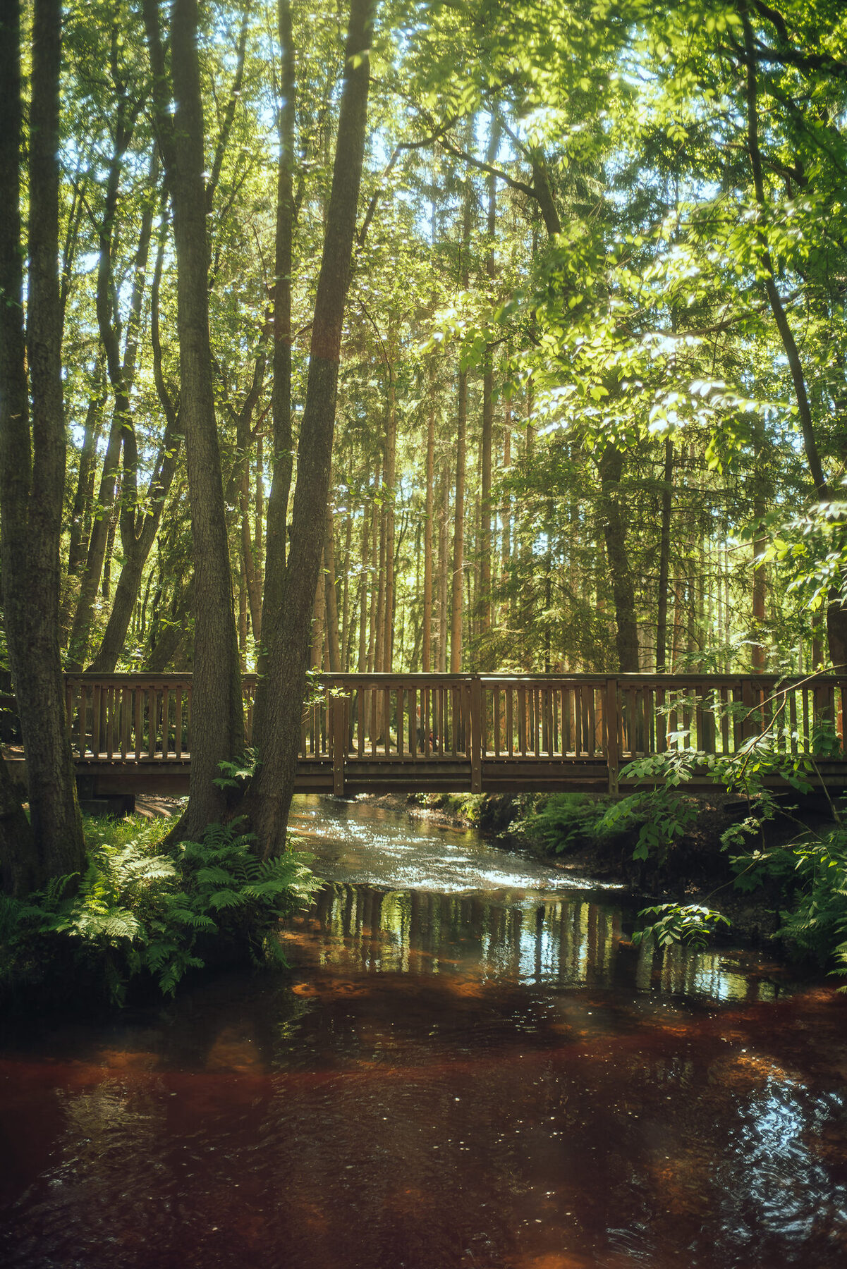 Kleine Holzbrücke über die Este