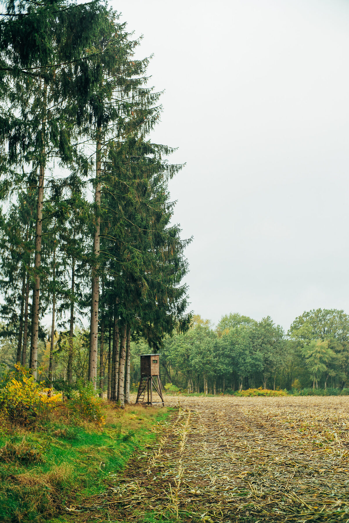 Großer Findling im Findlingspark Todtglüsingen