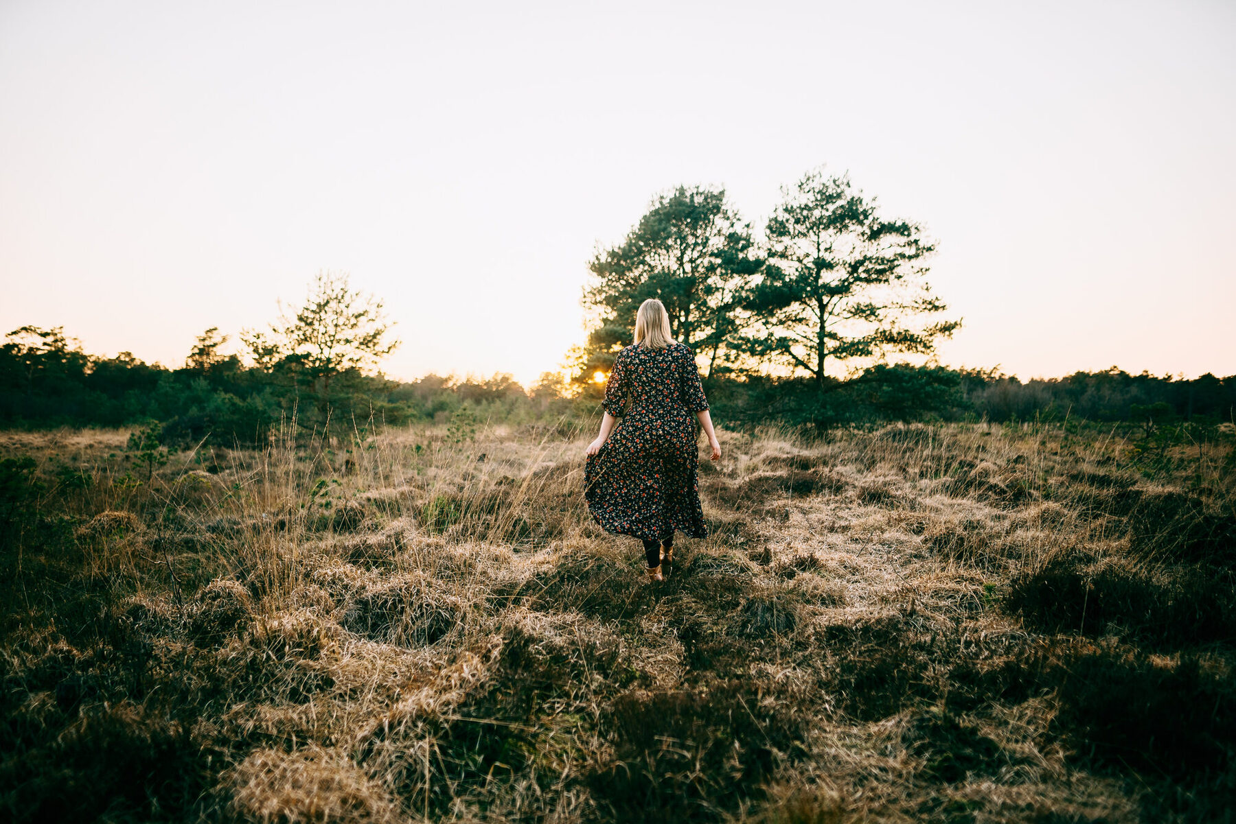 Weite Moorlandschaft im Abendlicht
