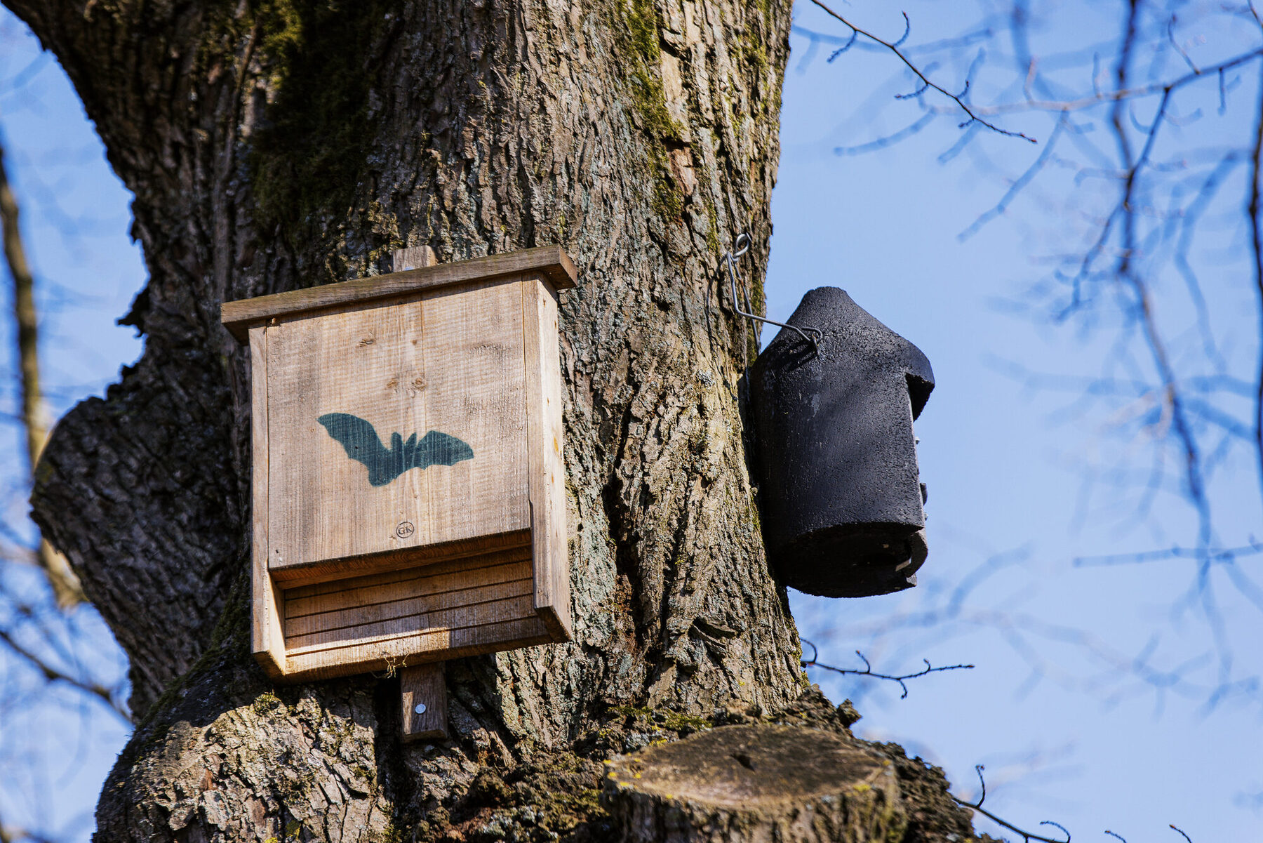 Ein kleines Insektenhotel hängt an einem Baum am Weg