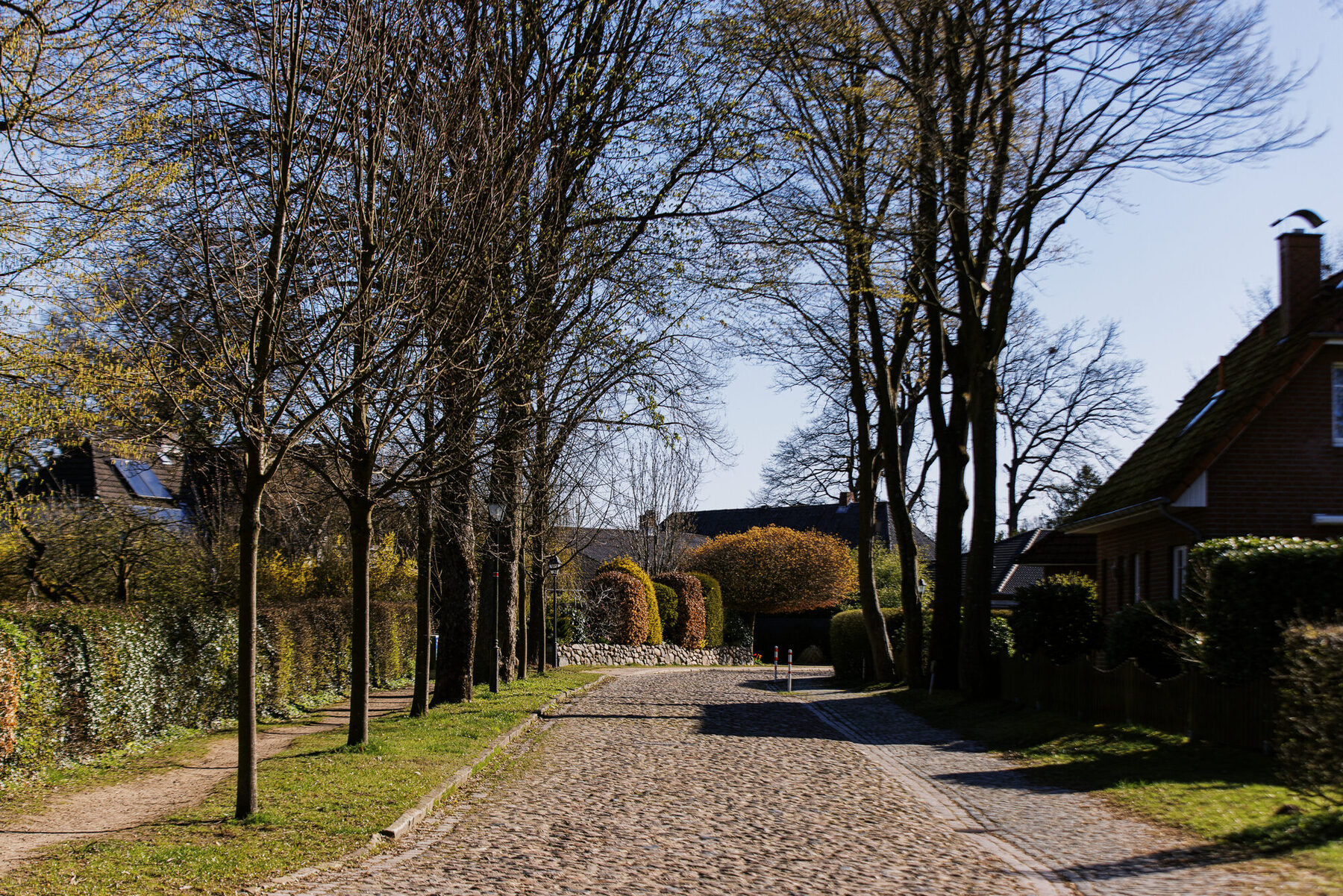 Ein ruhiger Weg am Sonnensegler in Tostedt mit hohen Bäumen und Hecke