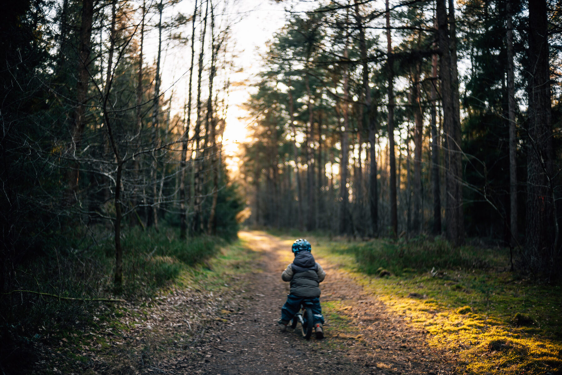 Schmaler Pfad im Wald bei Kakenstorf